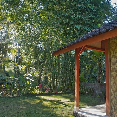 Tereng Wilis Jungle Inn Tetebatu Ngoại thất bức ảnh
