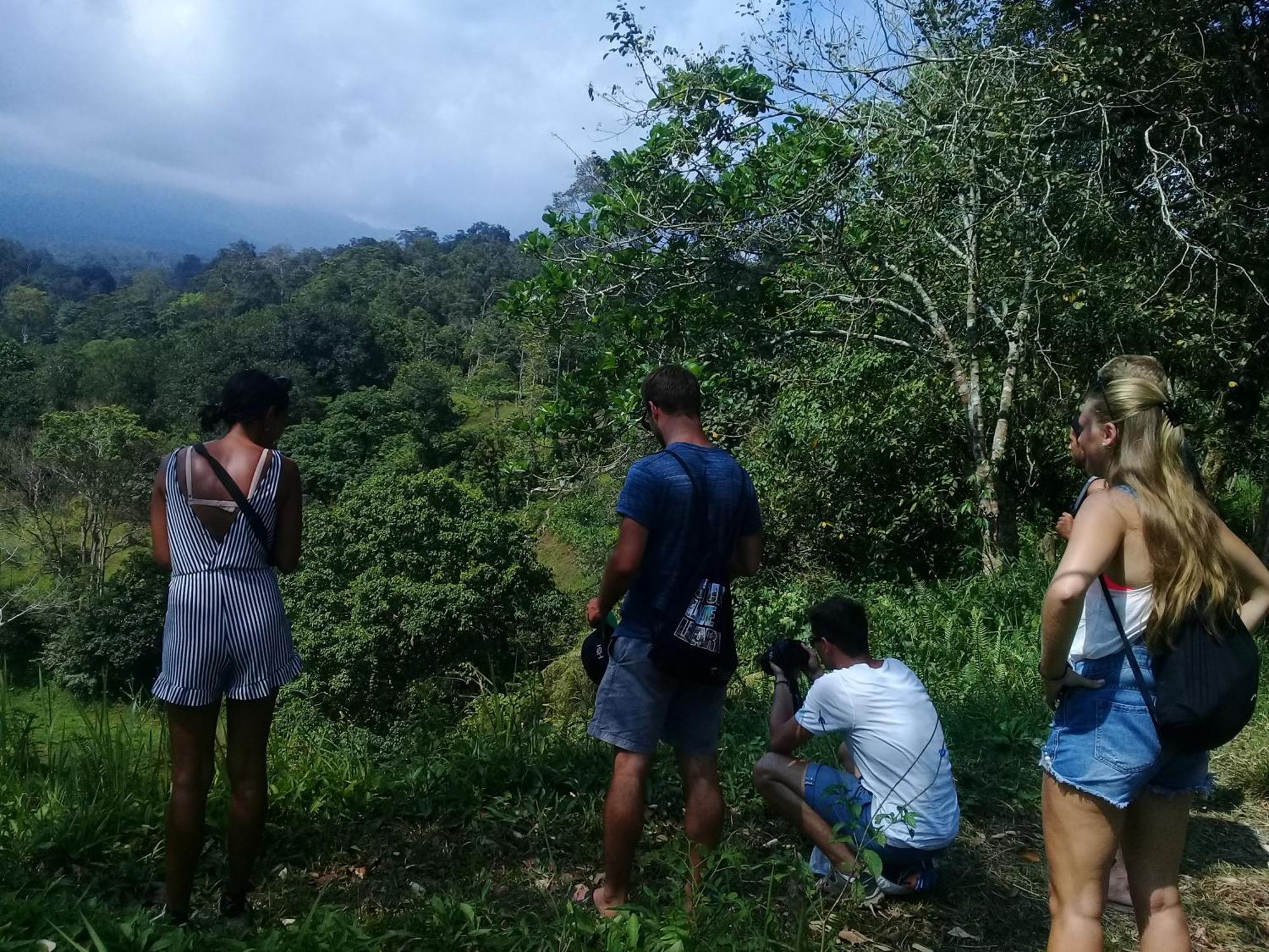 Tereng Wilis Jungle Inn Tetebatu Ngoại thất bức ảnh