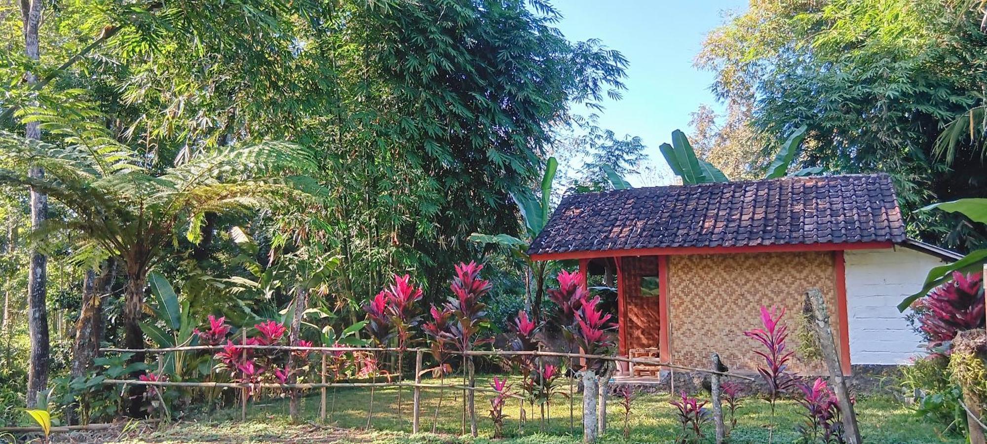 Tereng Wilis Jungle Inn Tetebatu Ngoại thất bức ảnh