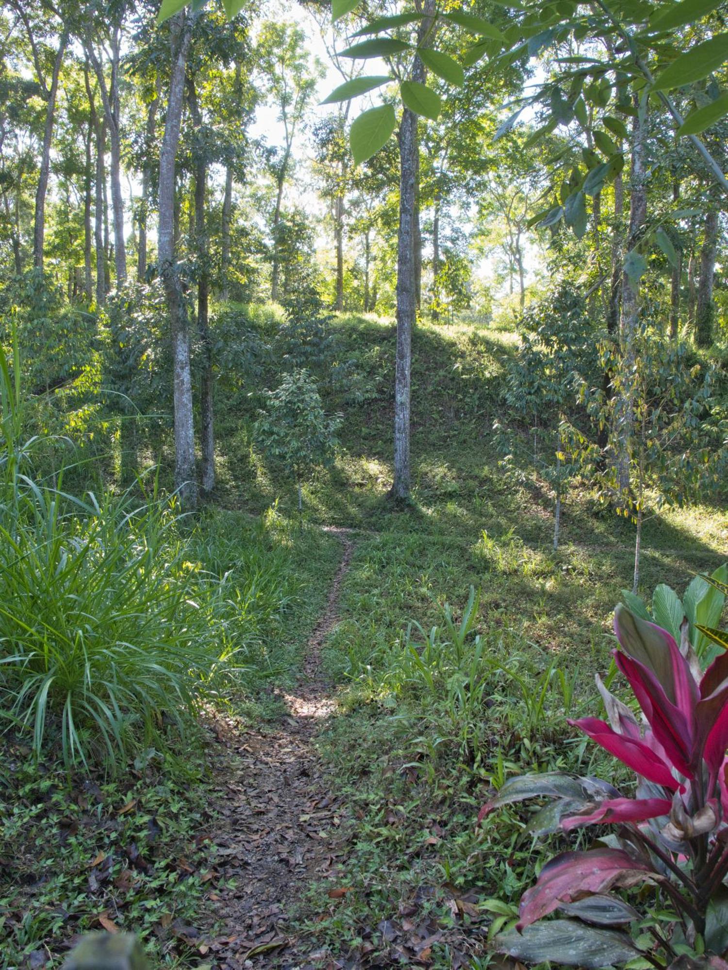 Tereng Wilis Jungle Inn Tetebatu Ngoại thất bức ảnh