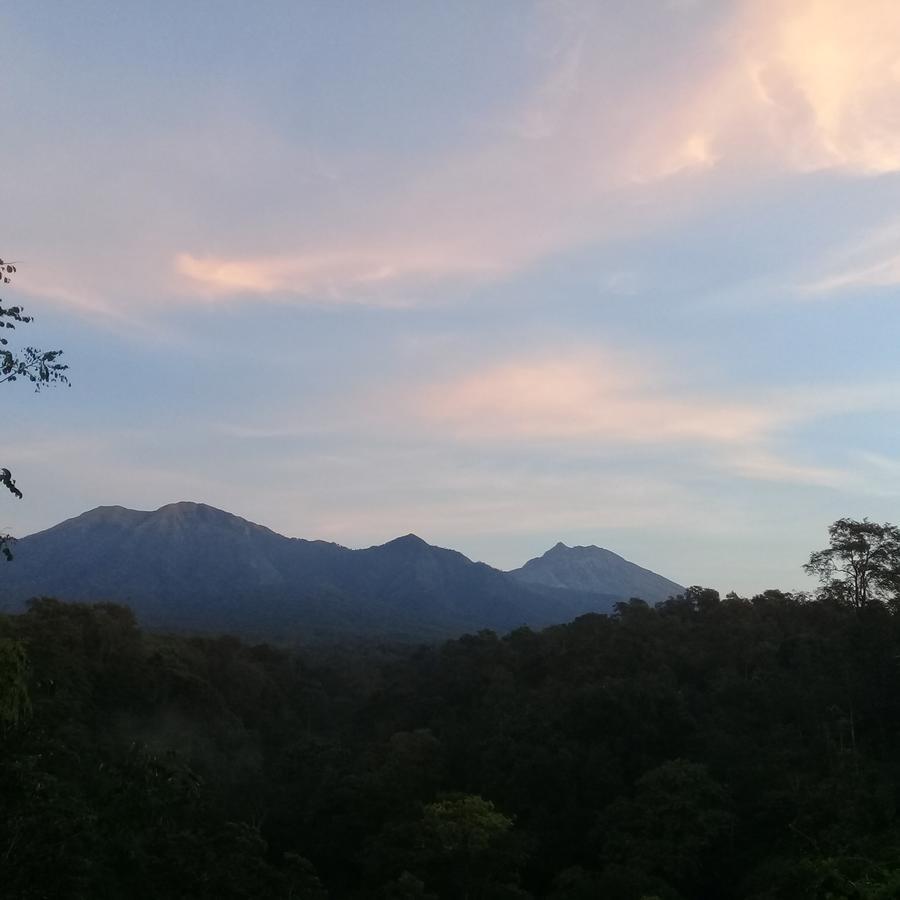 Tereng Wilis Jungle Inn Tetebatu Ngoại thất bức ảnh