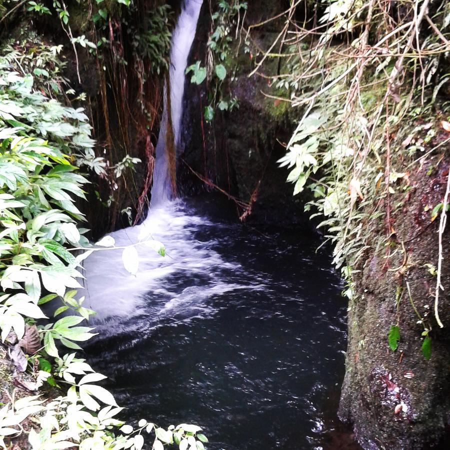 Tereng Wilis Jungle Inn Tetebatu Ngoại thất bức ảnh
