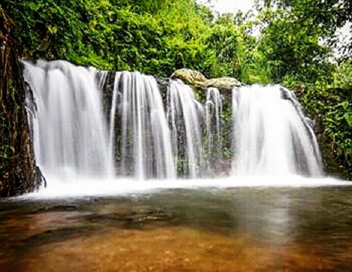 Tereng Wilis Jungle Inn Tetebatu Ngoại thất bức ảnh