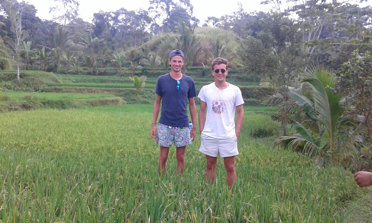 Tereng Wilis Jungle Inn Tetebatu Ngoại thất bức ảnh