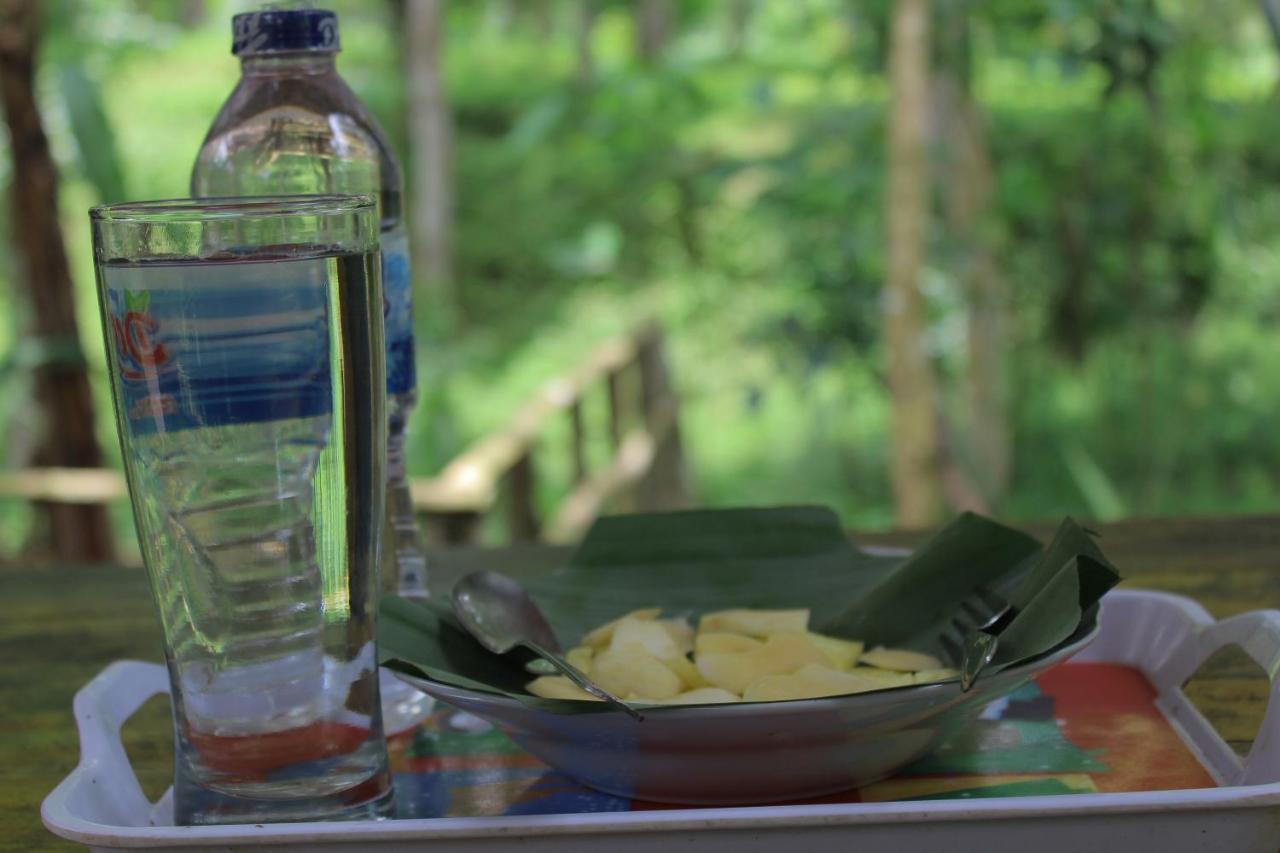 Tereng Wilis Jungle Inn Tetebatu Ngoại thất bức ảnh