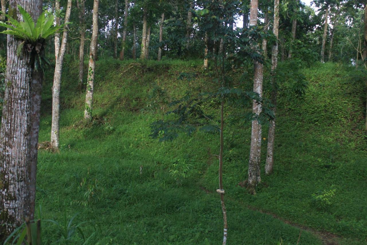 Tereng Wilis Jungle Inn Tetebatu Ngoại thất bức ảnh