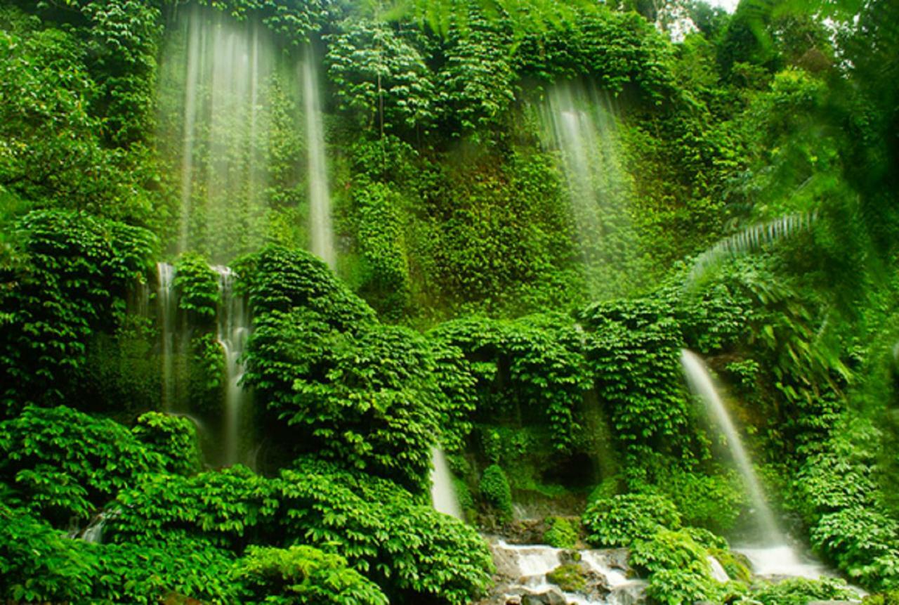 Tereng Wilis Jungle Inn Tetebatu Ngoại thất bức ảnh