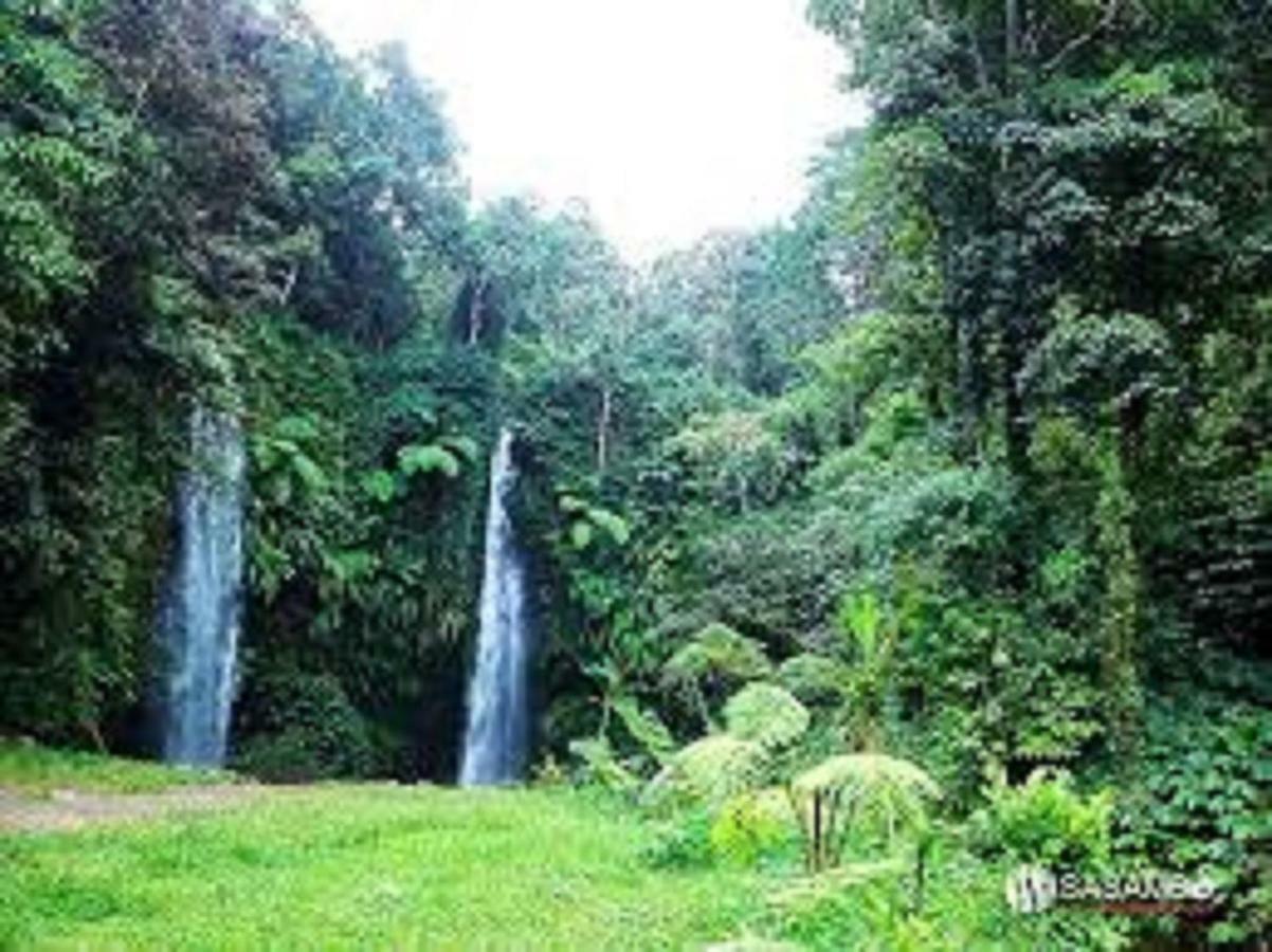 Tereng Wilis Jungle Inn Tetebatu Ngoại thất bức ảnh