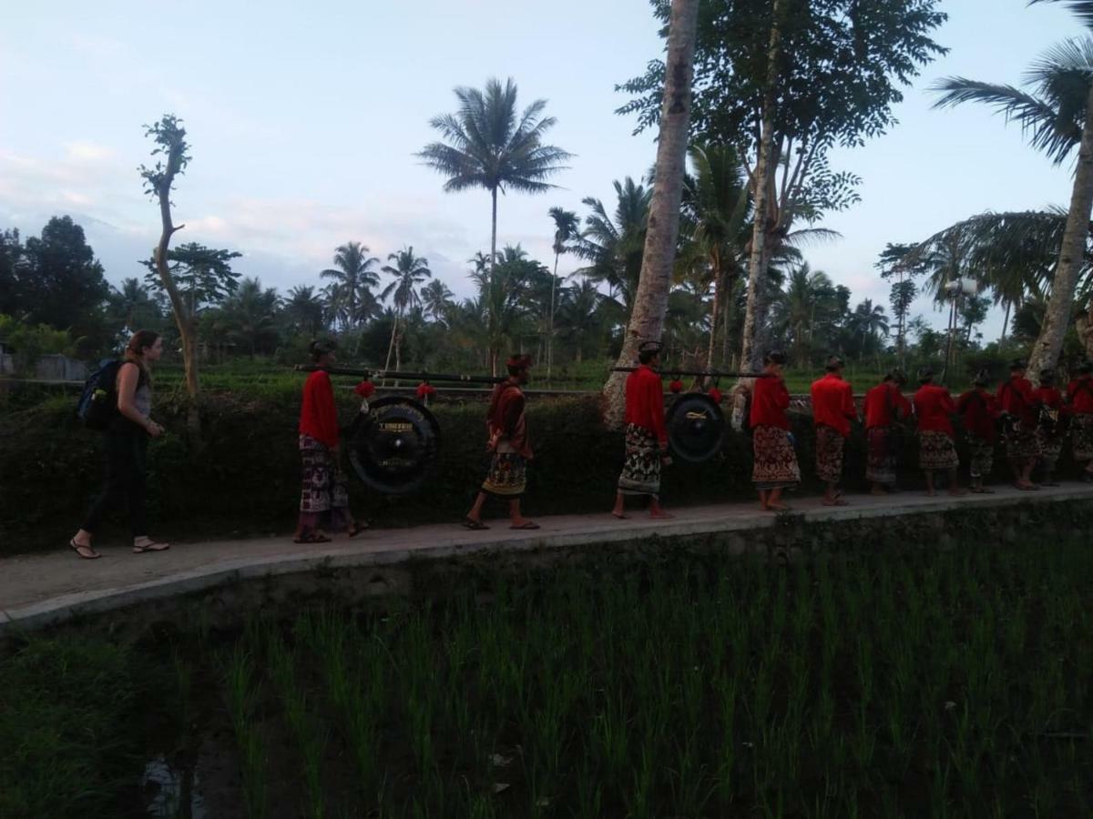 Tereng Wilis Jungle Inn Tetebatu Ngoại thất bức ảnh