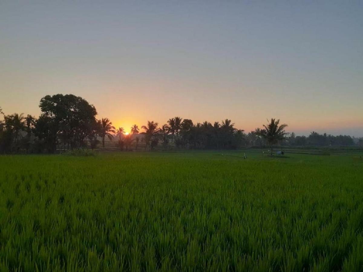 Tereng Wilis Jungle Inn Tetebatu Ngoại thất bức ảnh