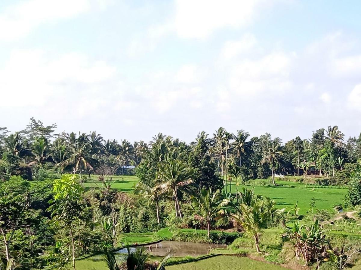 Tereng Wilis Jungle Inn Tetebatu Ngoại thất bức ảnh