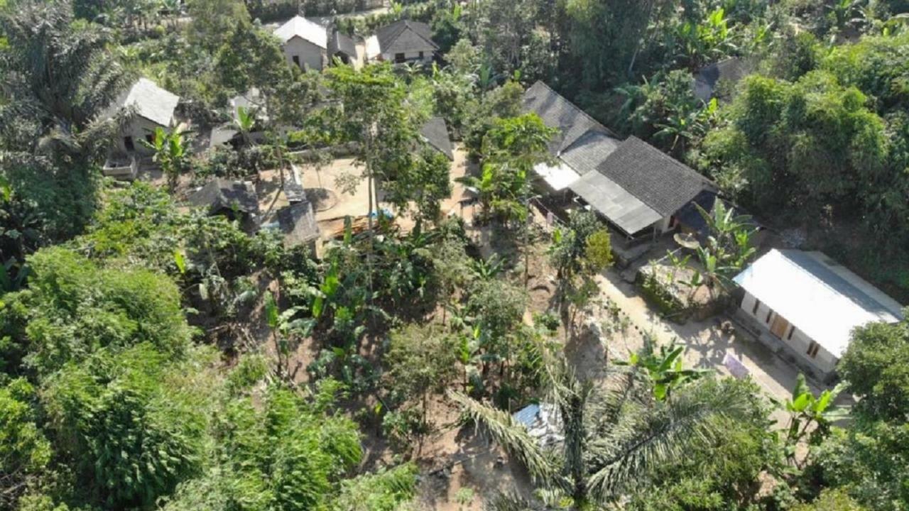 Tereng Wilis Jungle Inn Tetebatu Ngoại thất bức ảnh