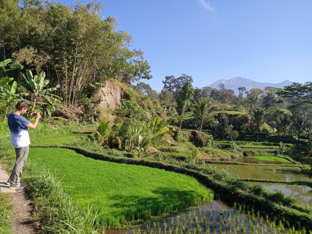 Tereng Wilis Jungle Inn Tetebatu Ngoại thất bức ảnh